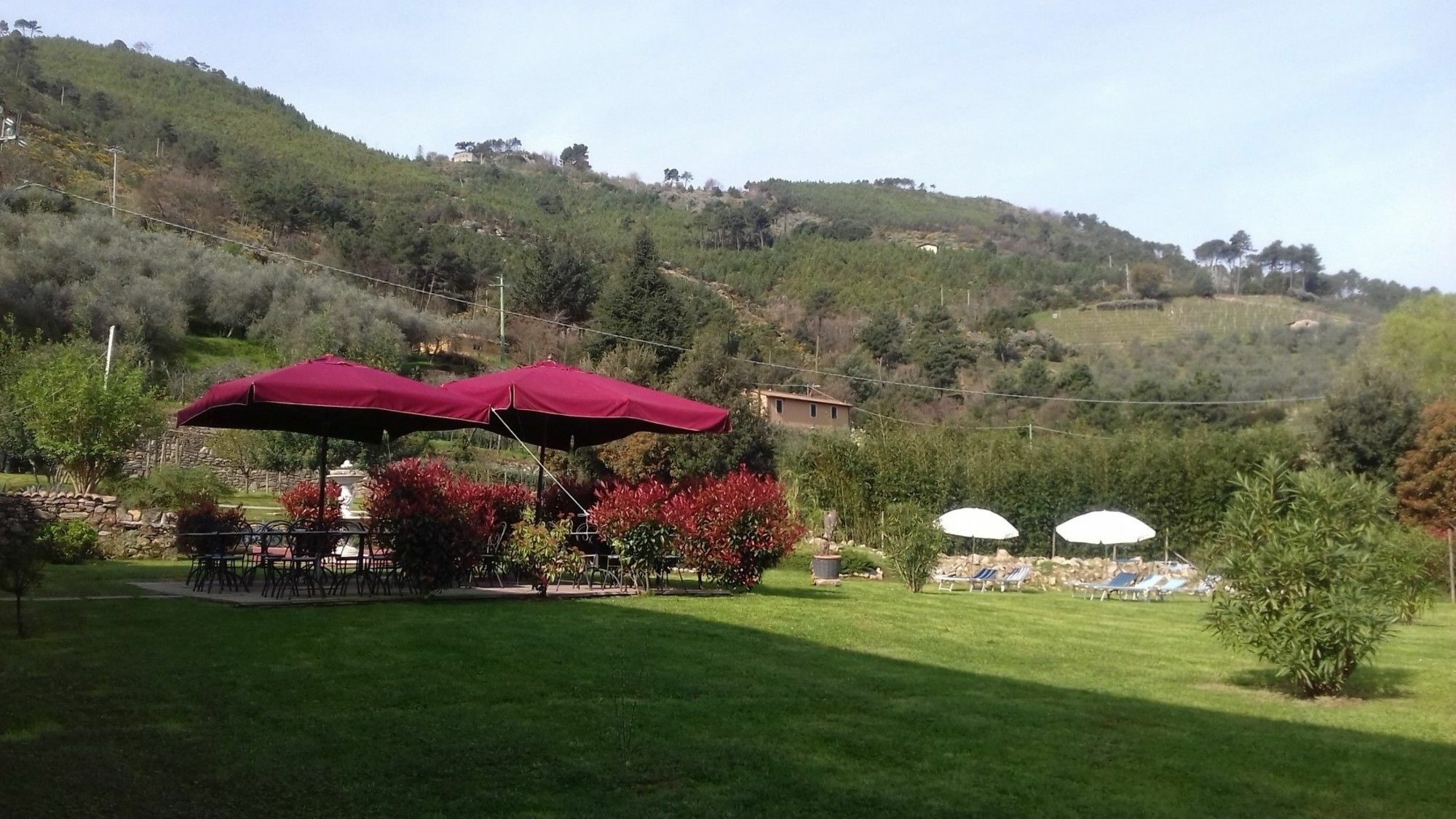 B&B Il Villano Capannori Exterior photo